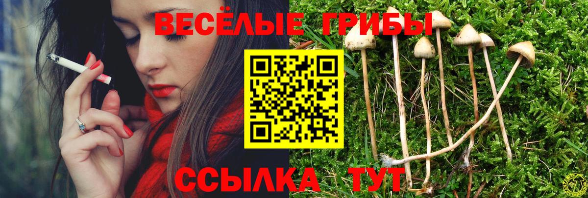 Псилоцибиновые грибы MAGIC MUSHROOMS Лангепас